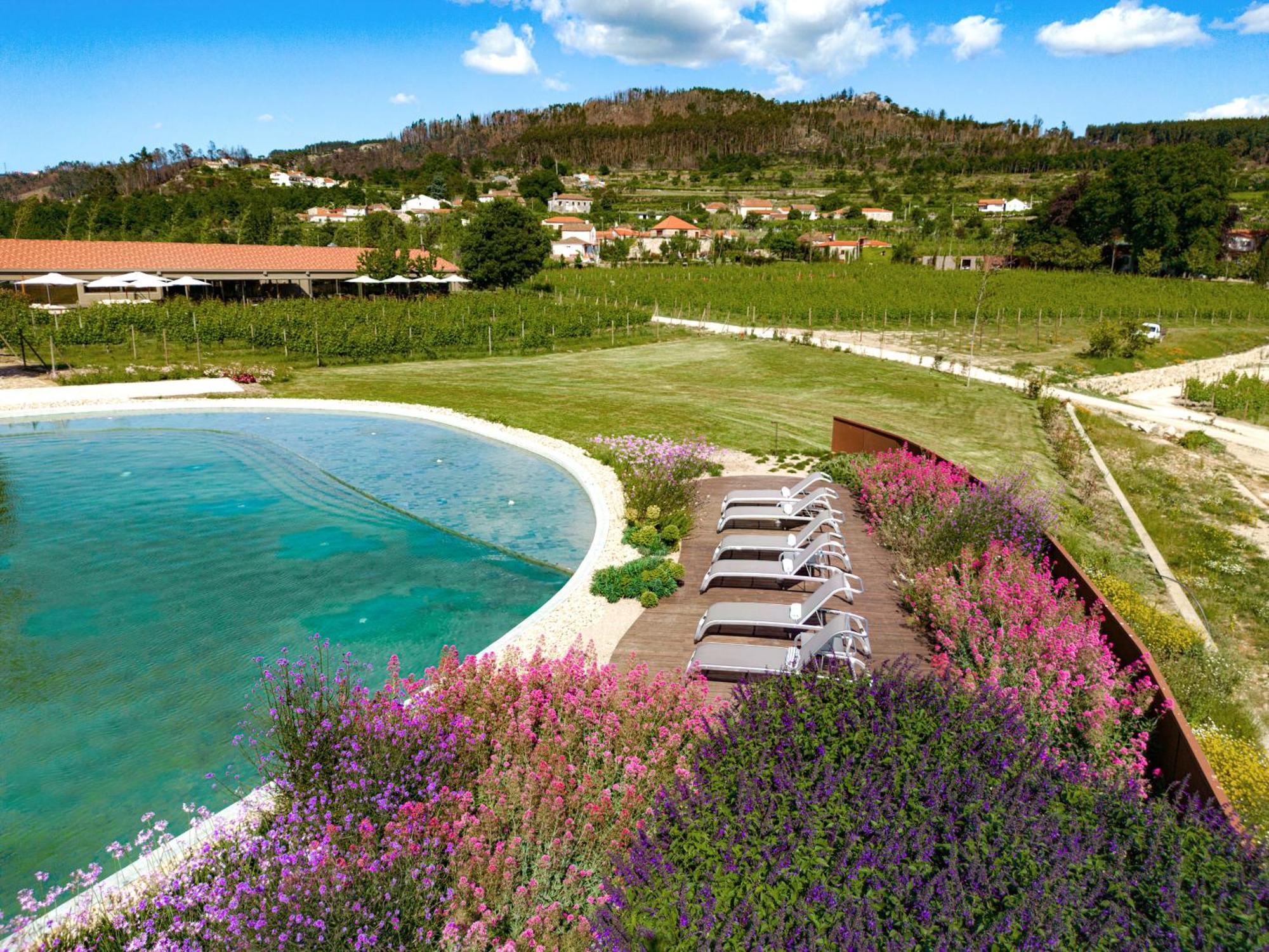 Lavandeira Douro Nature & Wellness Ancede ภายนอก รูปภาพ
